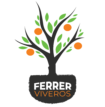 Ferrer Viveros
